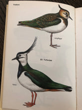Load image into Gallery viewer, Swedish bird vintage book
