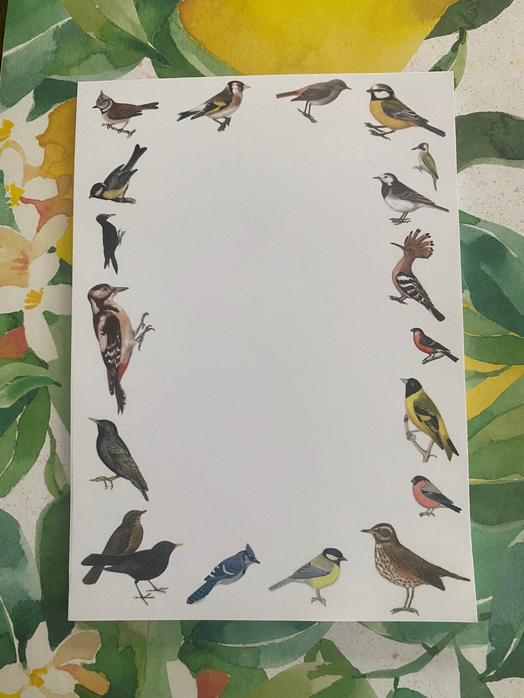 Field Birds notepad