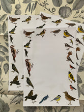 Load image into Gallery viewer, Field Birds Letter Sheets
