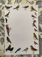 Load image into Gallery viewer, Field Birds Letter Sheets
