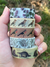 Load image into Gallery viewer, Bergfink washi tape
