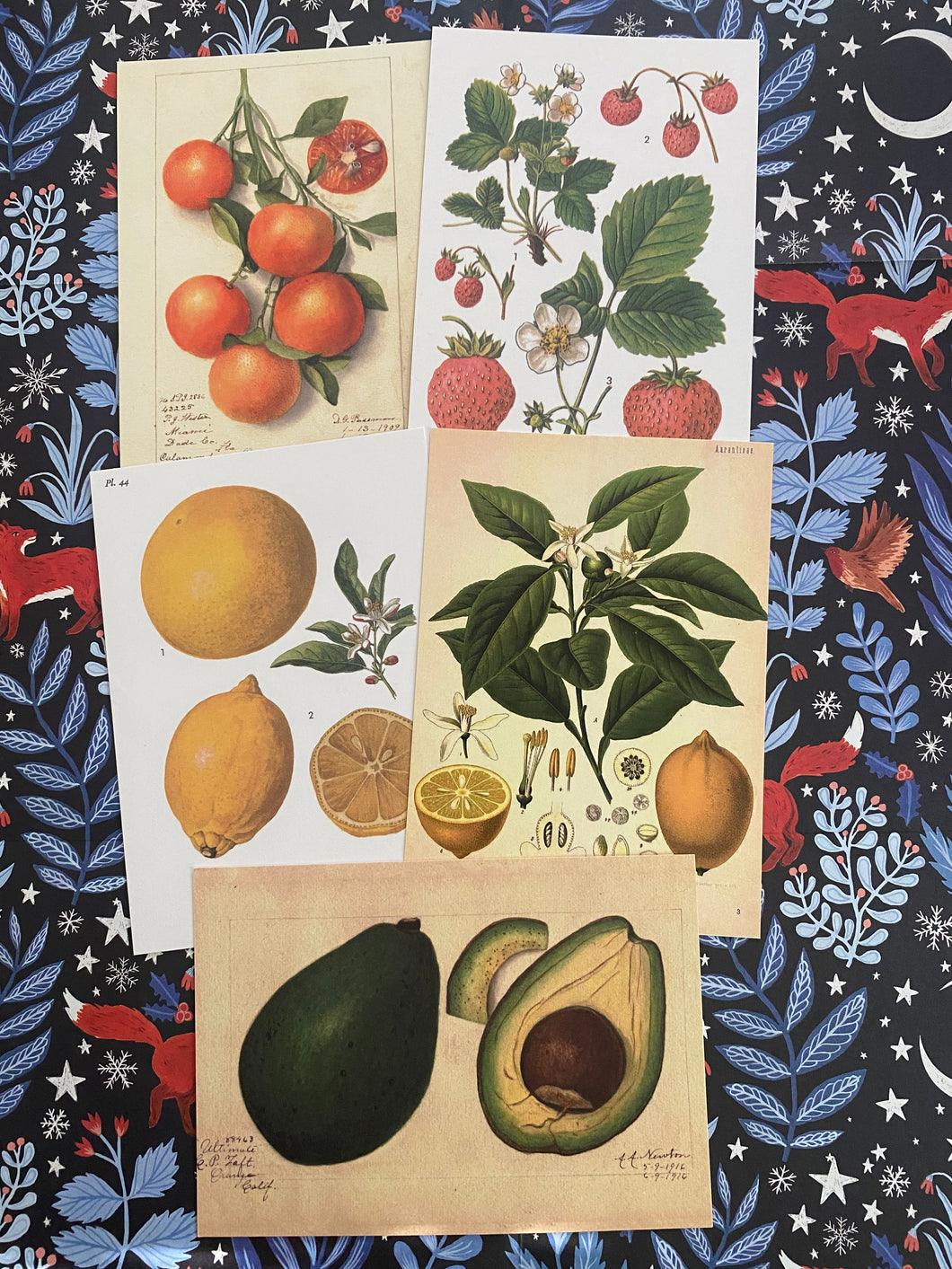 Fruits postcard pack