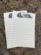 Load image into Gallery viewer, Vintage Racoon letter sheets
