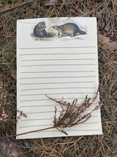 Load image into Gallery viewer, Vintage Racoon letter sheets
