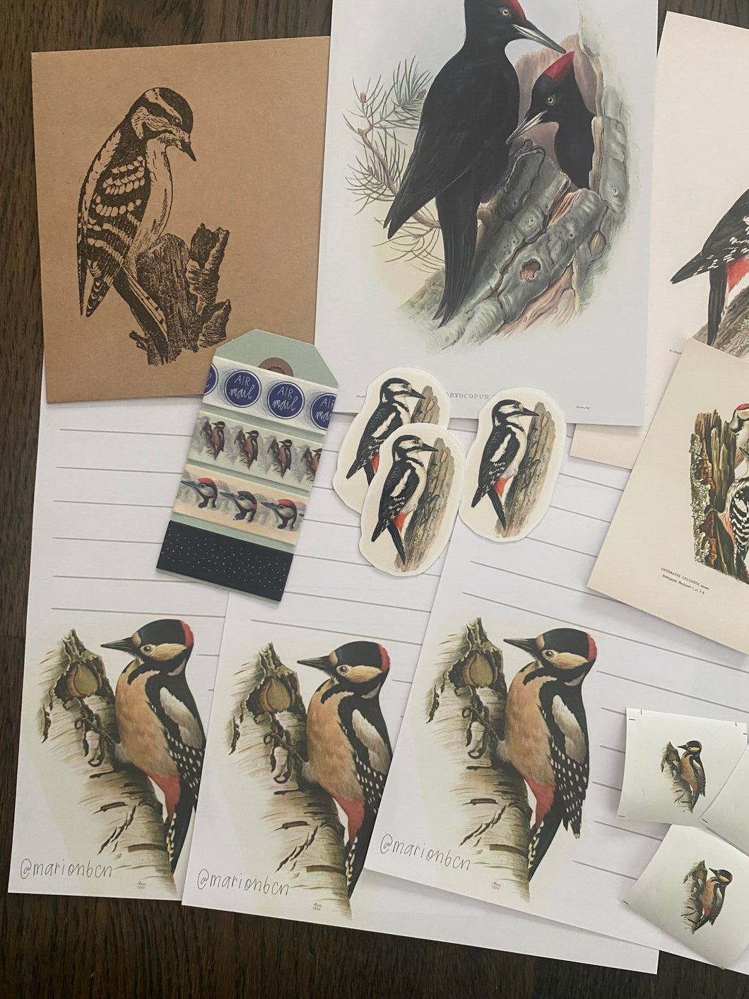 Woodpecker snail mail kit