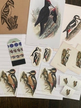 Load image into Gallery viewer, Woodpecker snail mail kit

