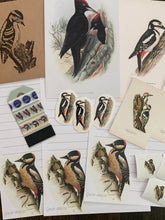 Load image into Gallery viewer, Woodpecker snail mail kit
