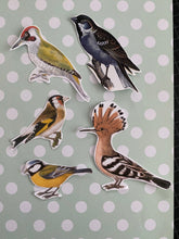 Load image into Gallery viewer, Bird die cut stickers
