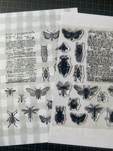 Load image into Gallery viewer, Clear stamps insects themed
