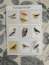 Load image into Gallery viewer, Vintage birds postcard
