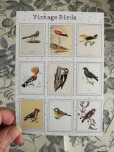 Load image into Gallery viewer, Vintage birds postcard
