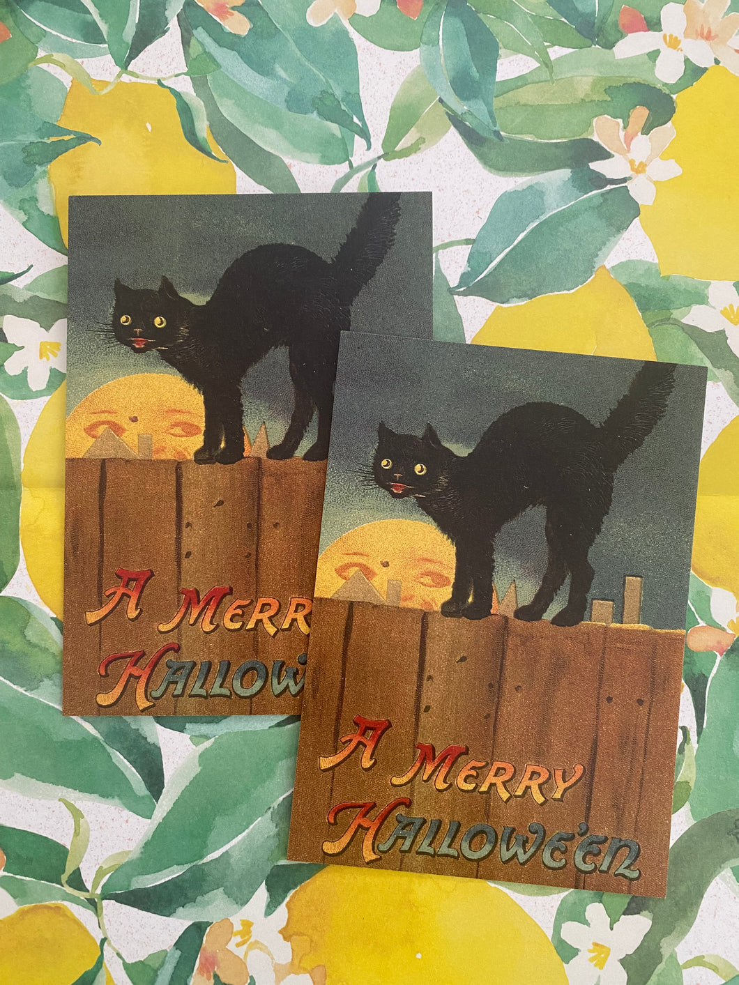 A Merry Halloween postcard