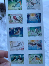 Load image into Gallery viewer, Custom Postcard with birdie stamps
