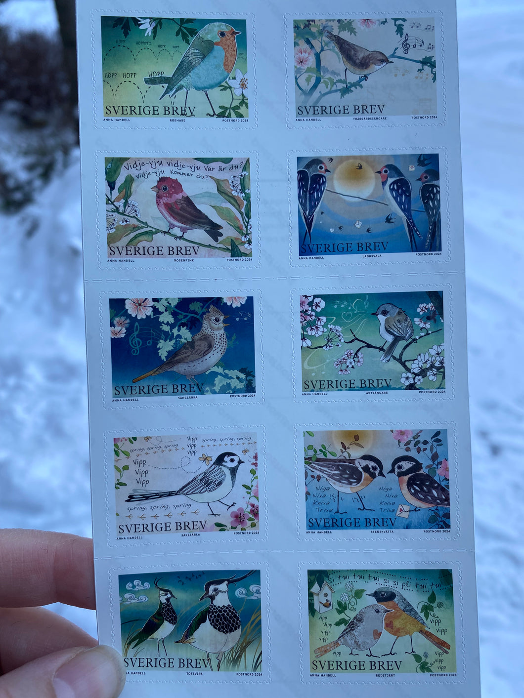 Custom Postcard with birdie stamps