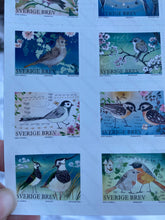 Load image into Gallery viewer, Custom Postcard with birdie stamps
