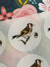 Load image into Gallery viewer, Goldfinch round stickers

