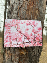 Load image into Gallery viewer, Sakura postcard
