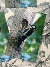 Load image into Gallery viewer, Spotted woodpeckers small cards pack of 5
