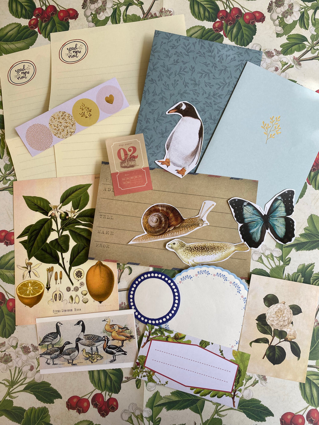 Snail mail kit August 22