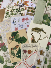 Load image into Gallery viewer, Botanical paper bundle 2
