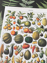 Load image into Gallery viewer, Fruits letter sheets
