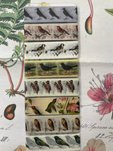 Load image into Gallery viewer, Only Birds washi tape samples
