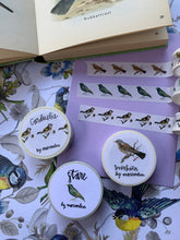 Load image into Gallery viewer, Birdies washi tape set
