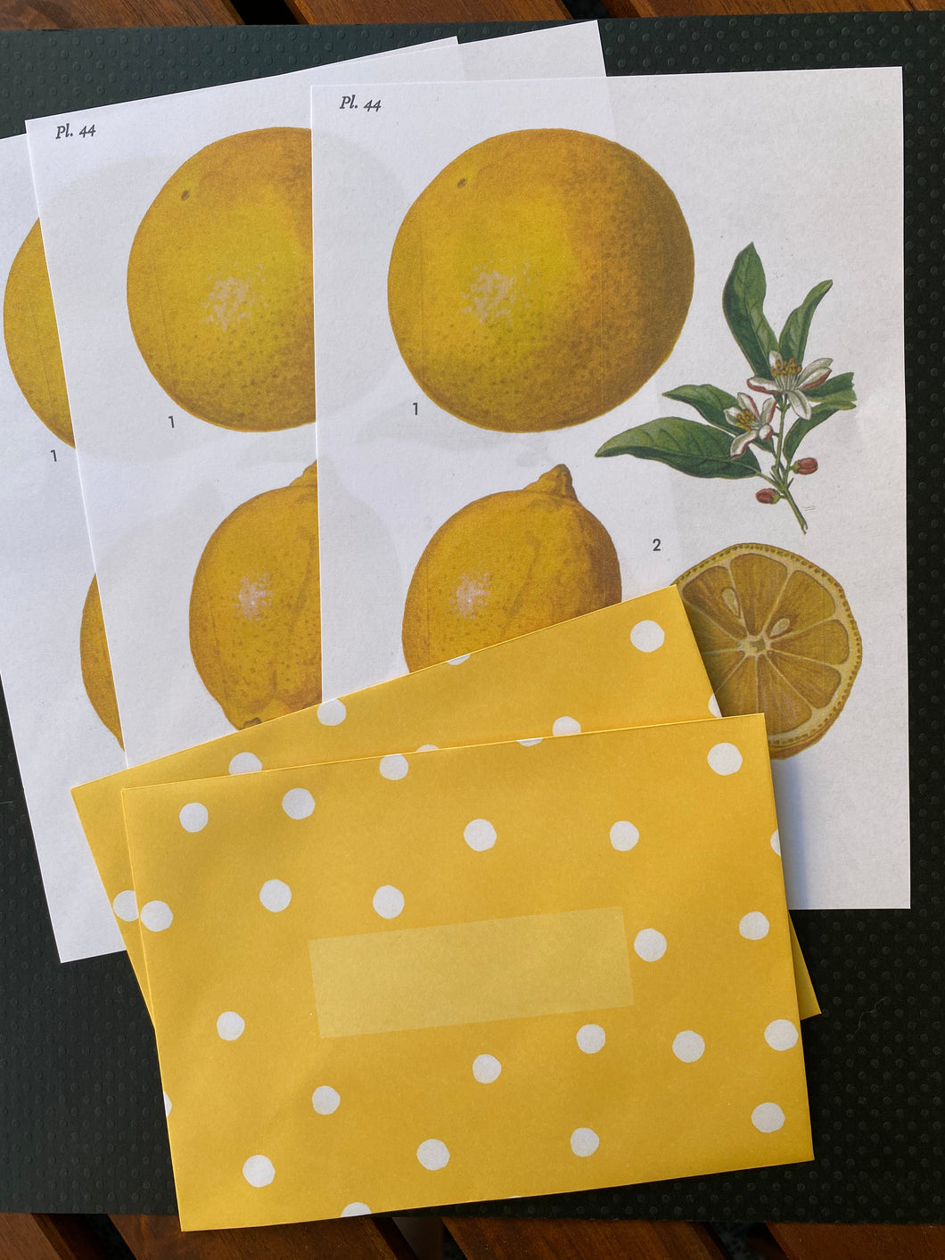 Citrus Letter set