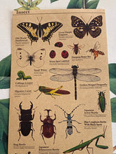 Load image into Gallery viewer, Insects stickers sheet
