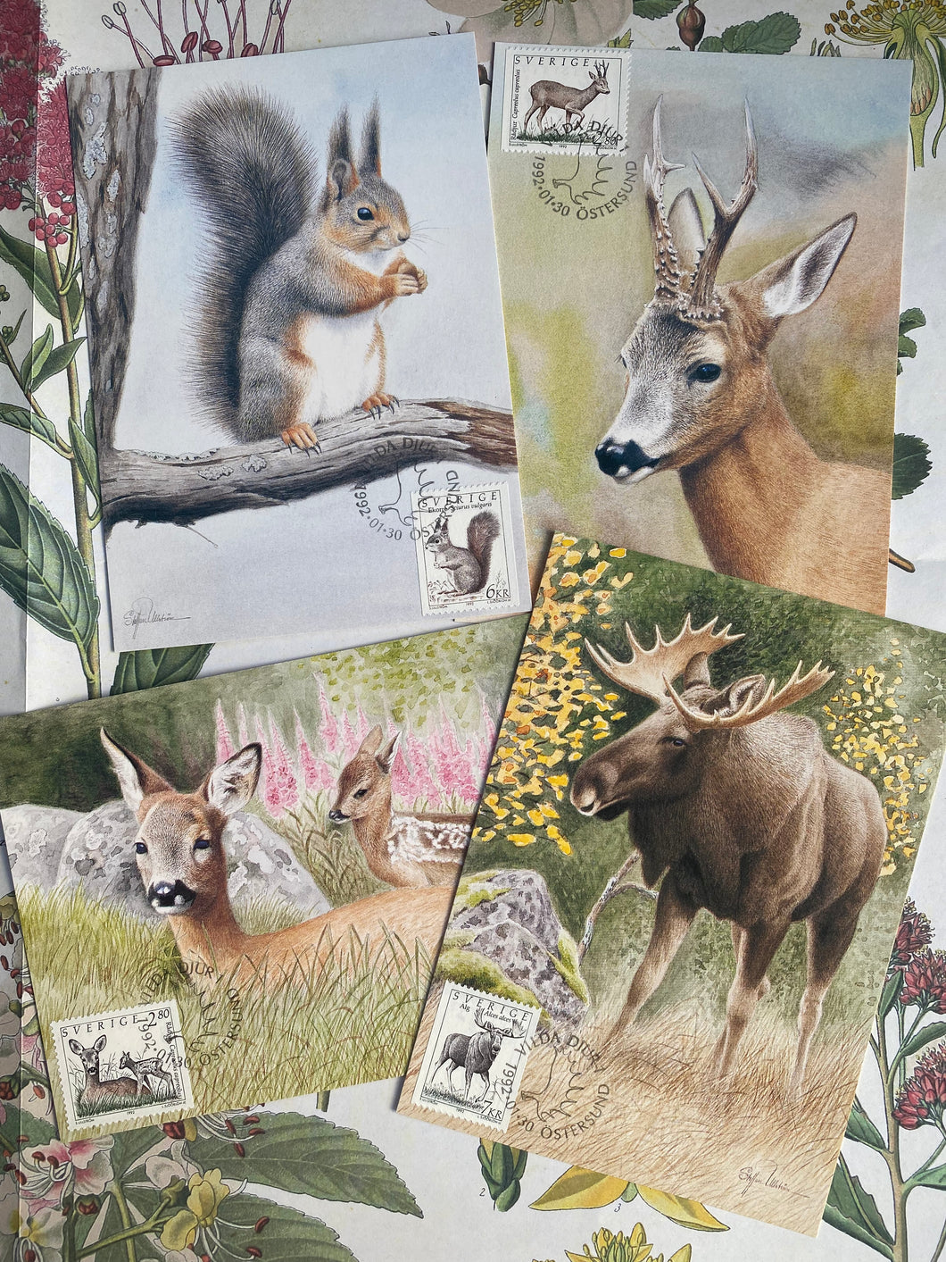 Animal vintage postcards with postmark