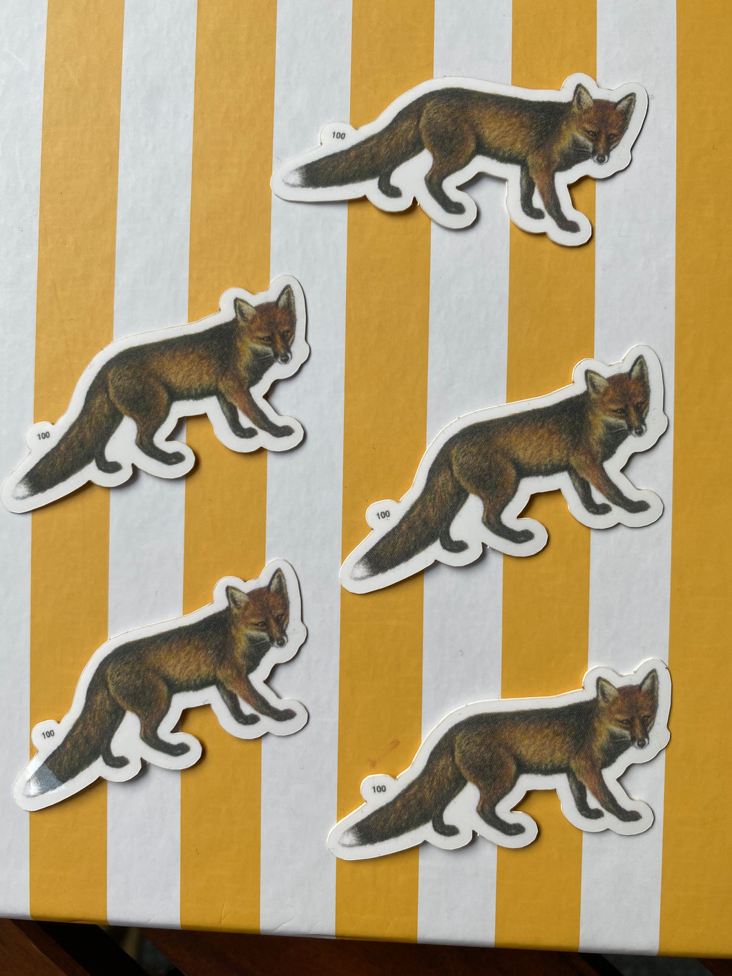 Fox Vynil Stickers pack of 5