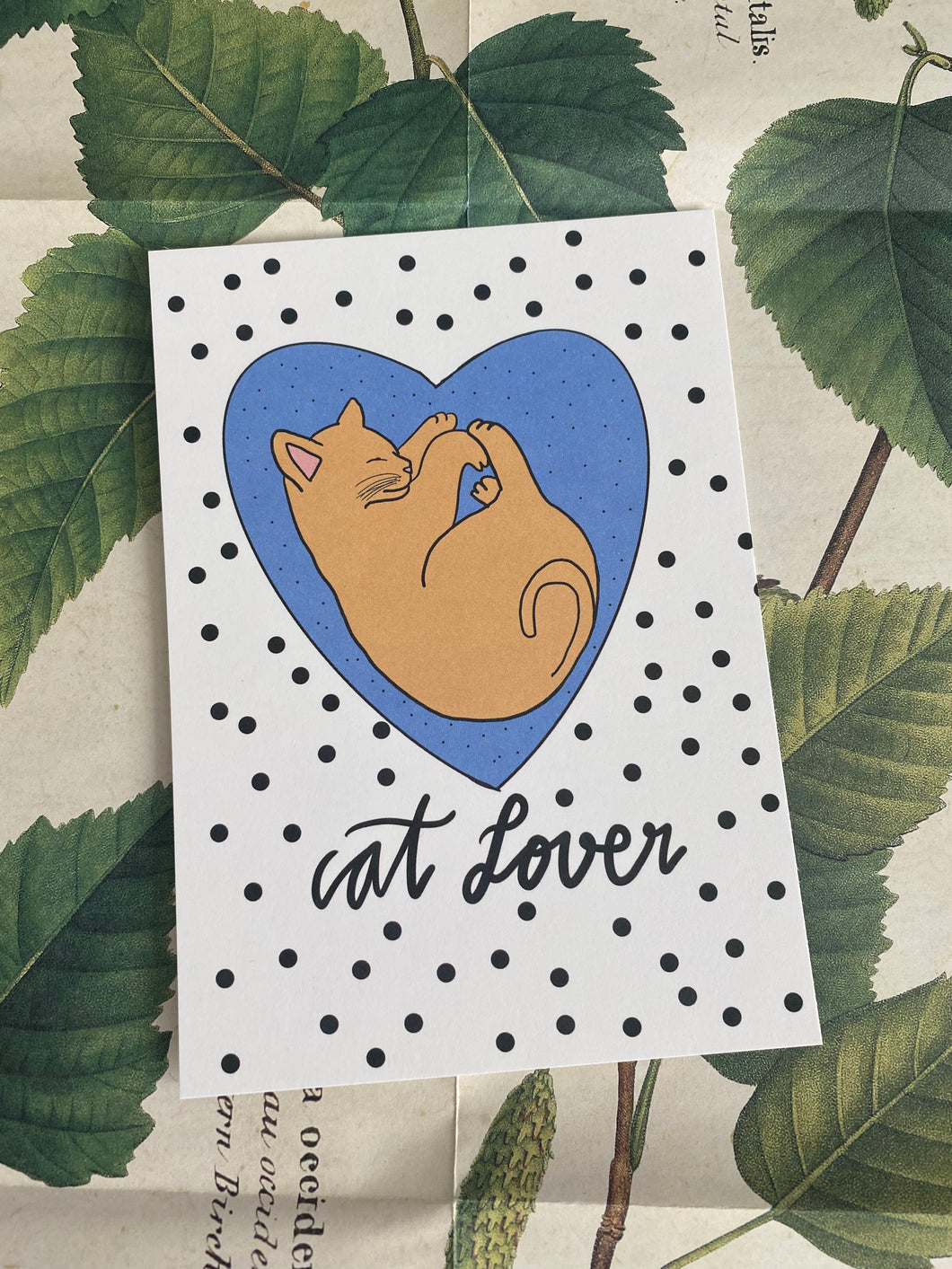 Cat Love postcard