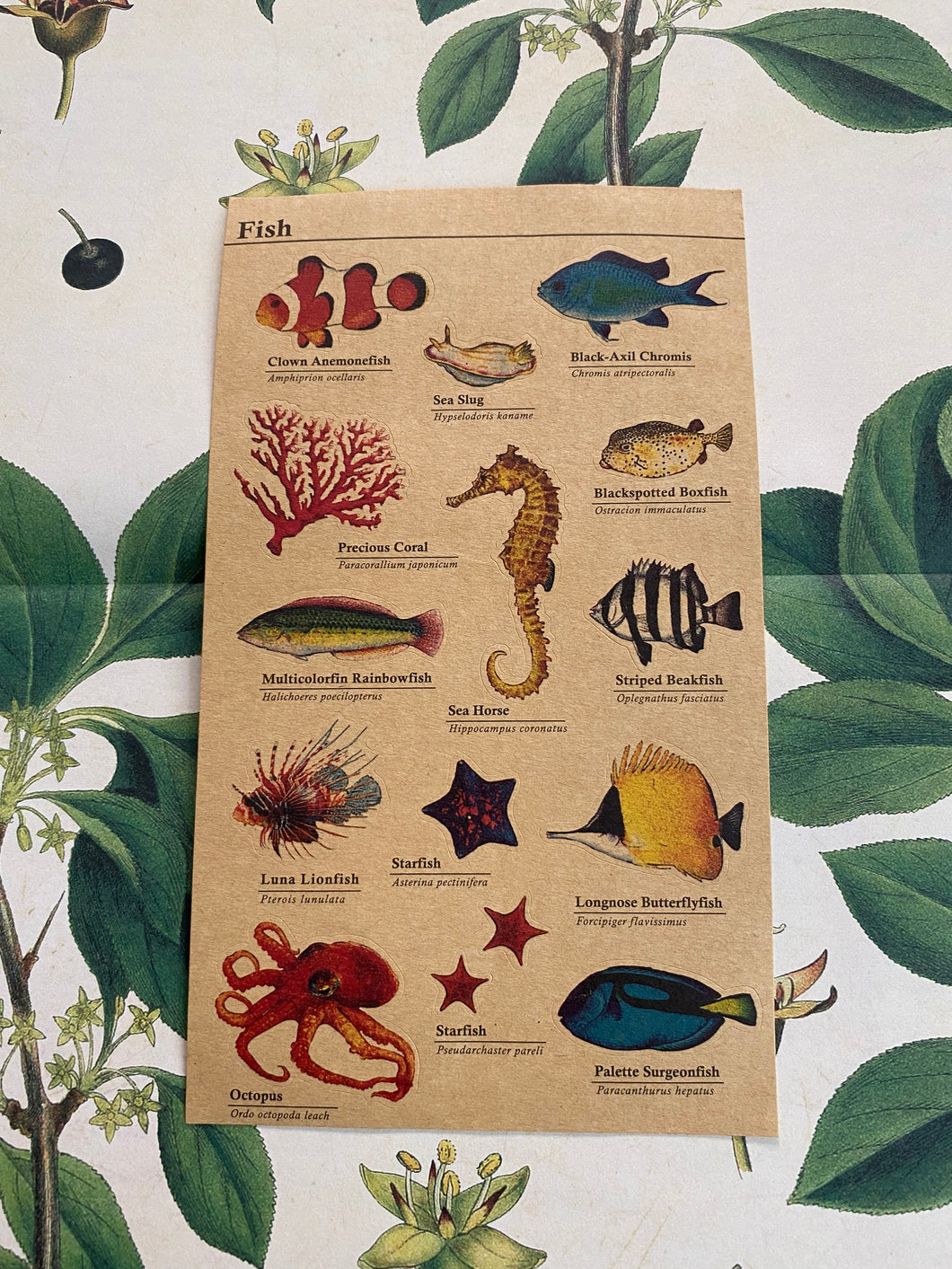 Fish sticker sheet