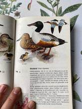 Load image into Gallery viewer, Vintage birds book
