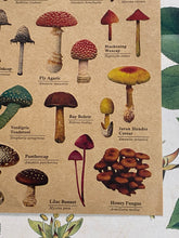Load image into Gallery viewer, Mushroom sticker sheet
