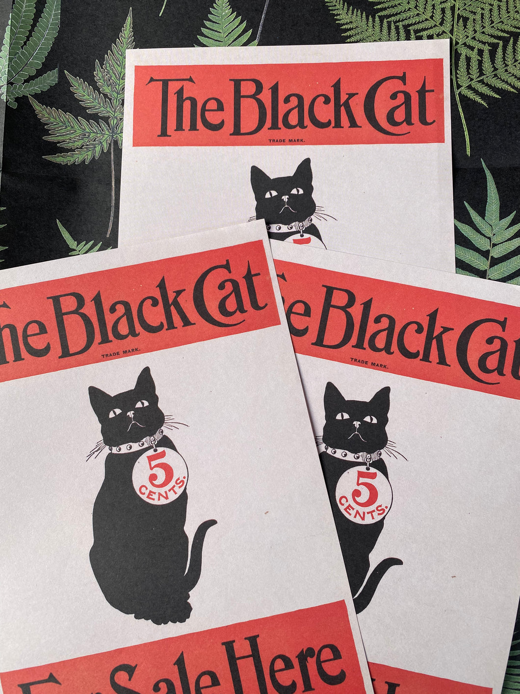 The Black cat letter sheets