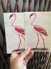 Load image into Gallery viewer, Pink Flamingo postcard
