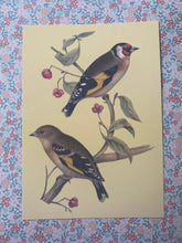 Load image into Gallery viewer, European Goldfinch postcard
