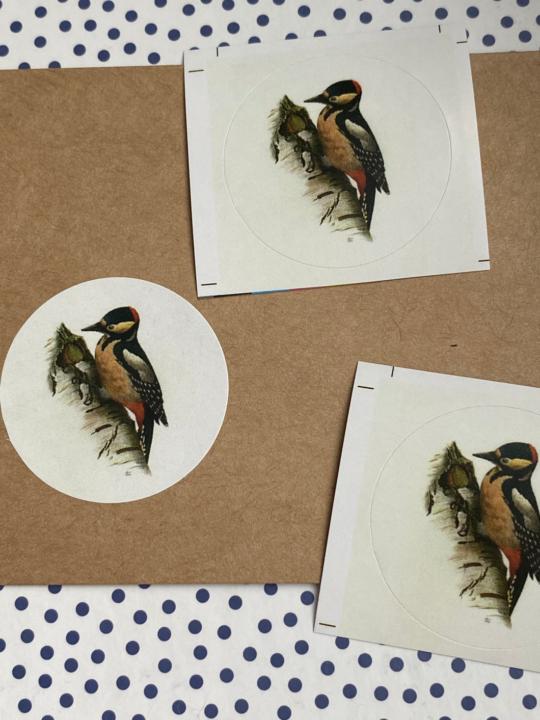Woodpecker round stickers