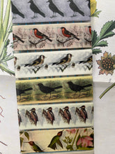 Load image into Gallery viewer, Only Birds washi tape samples
