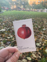 Load image into Gallery viewer, Pomegranate small card
