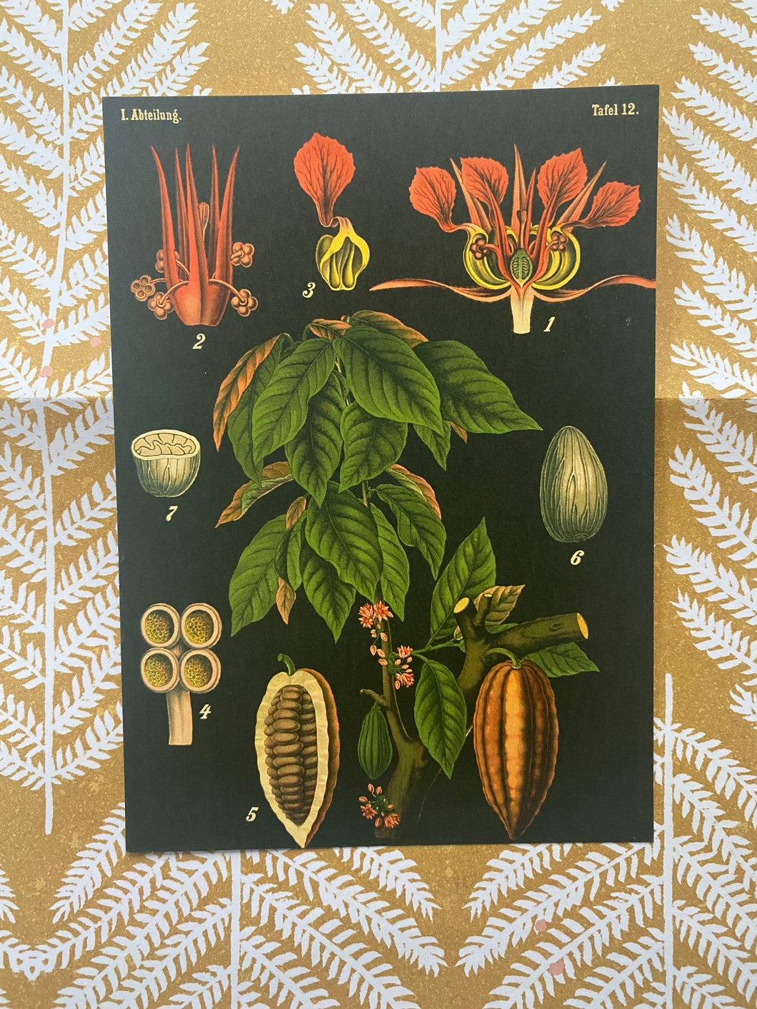 Botanicals Vol 3 Postcard