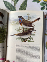 Load image into Gallery viewer, Vintage birds book

