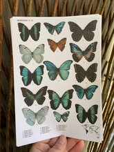 Load image into Gallery viewer, Butterflies Letter Set
