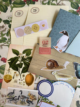 Load image into Gallery viewer, Snail mail kit August 22
