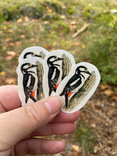 Load image into Gallery viewer, Great spotted Woodpecker vinyl stickers
