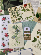 Load image into Gallery viewer, Botanical paper bundle 1
