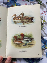 Load image into Gallery viewer, Vintage birds Swedish book
