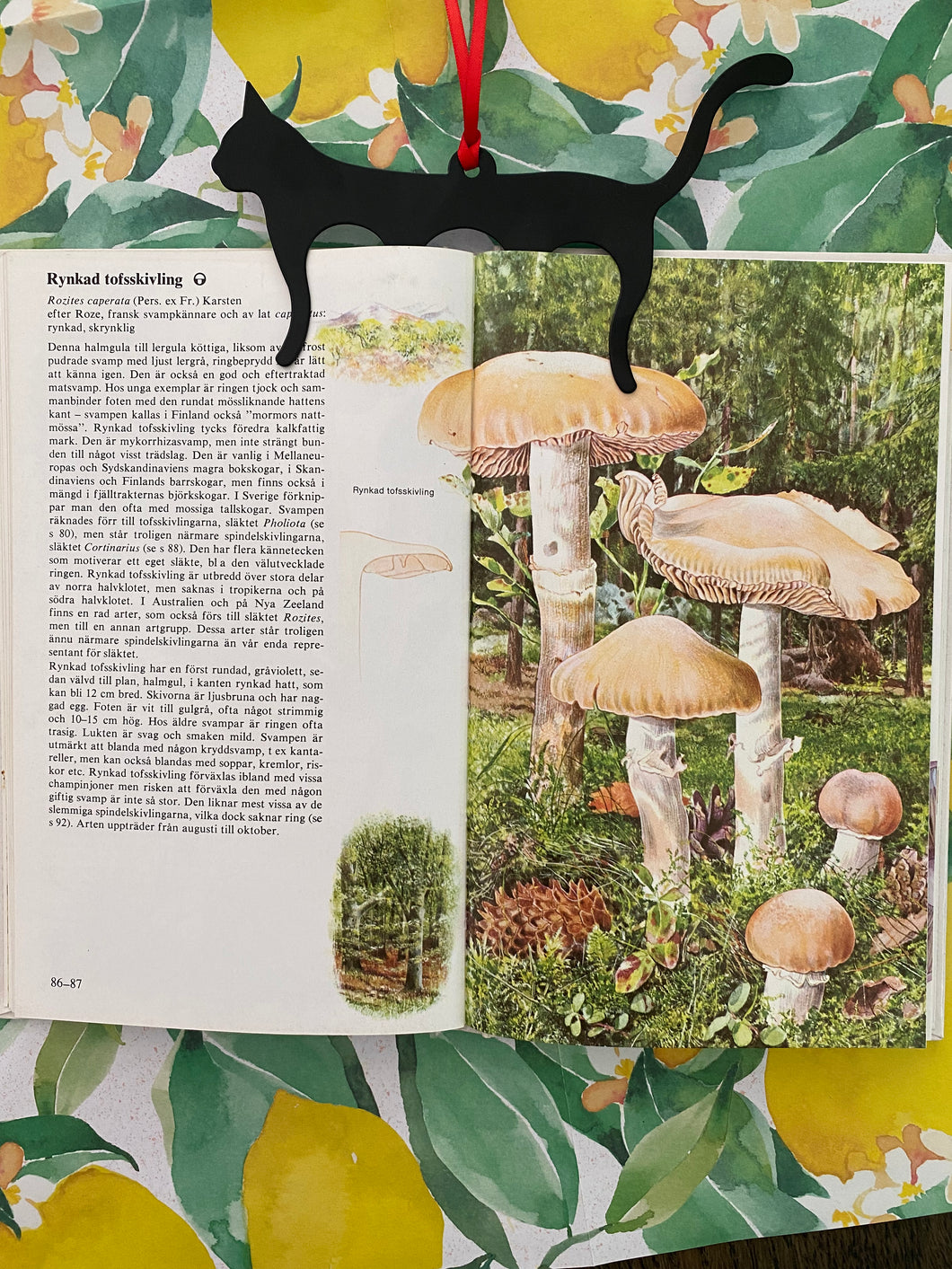 Mushrooms in the Nature vintage book