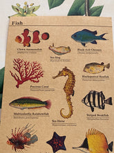 Load image into Gallery viewer, Fish sticker sheet
